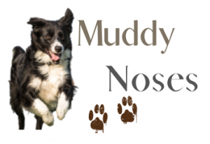 Muddy Noses logo: Border Collies